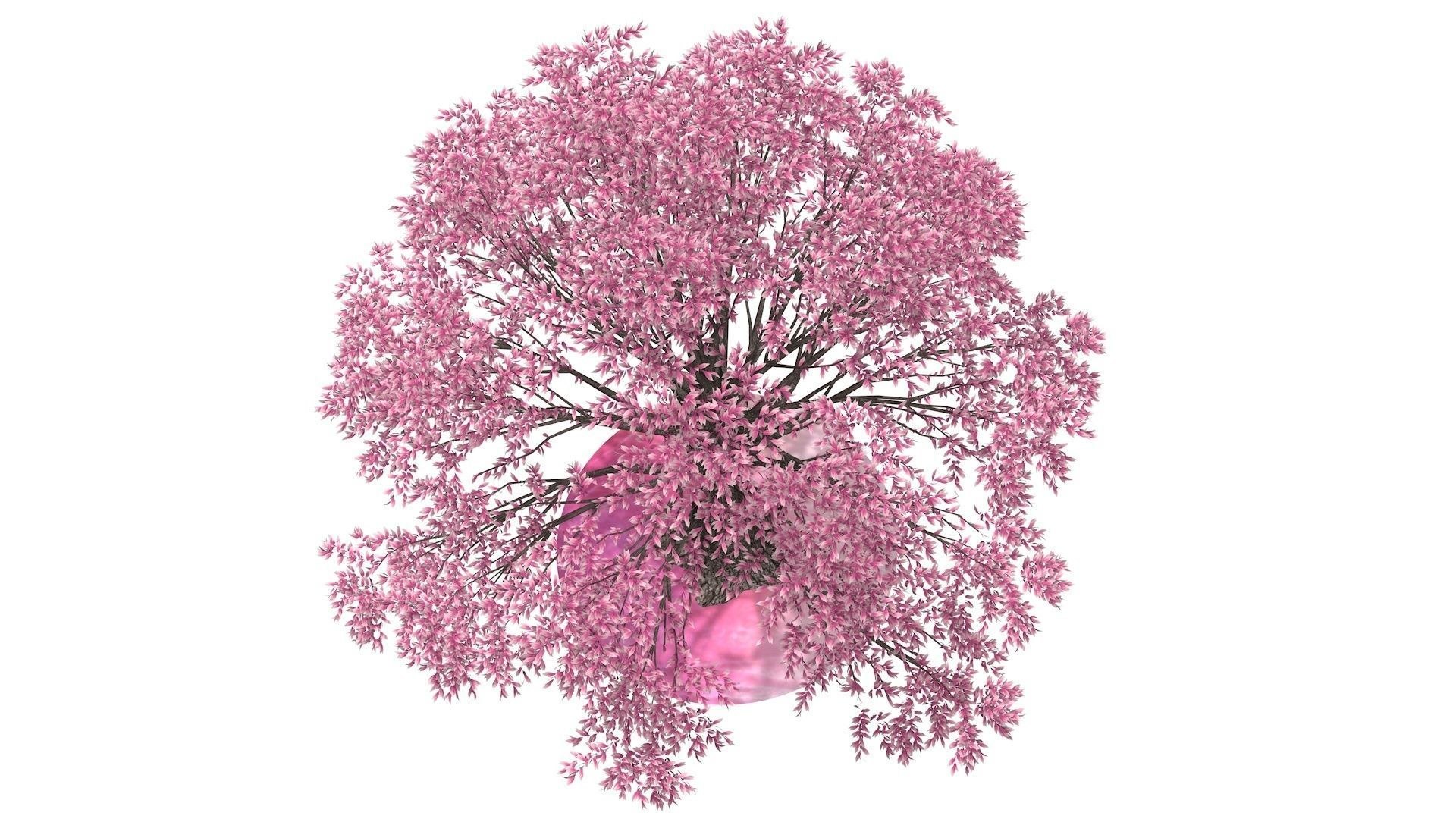 3D Pink Tree - TurboSquid 1693652