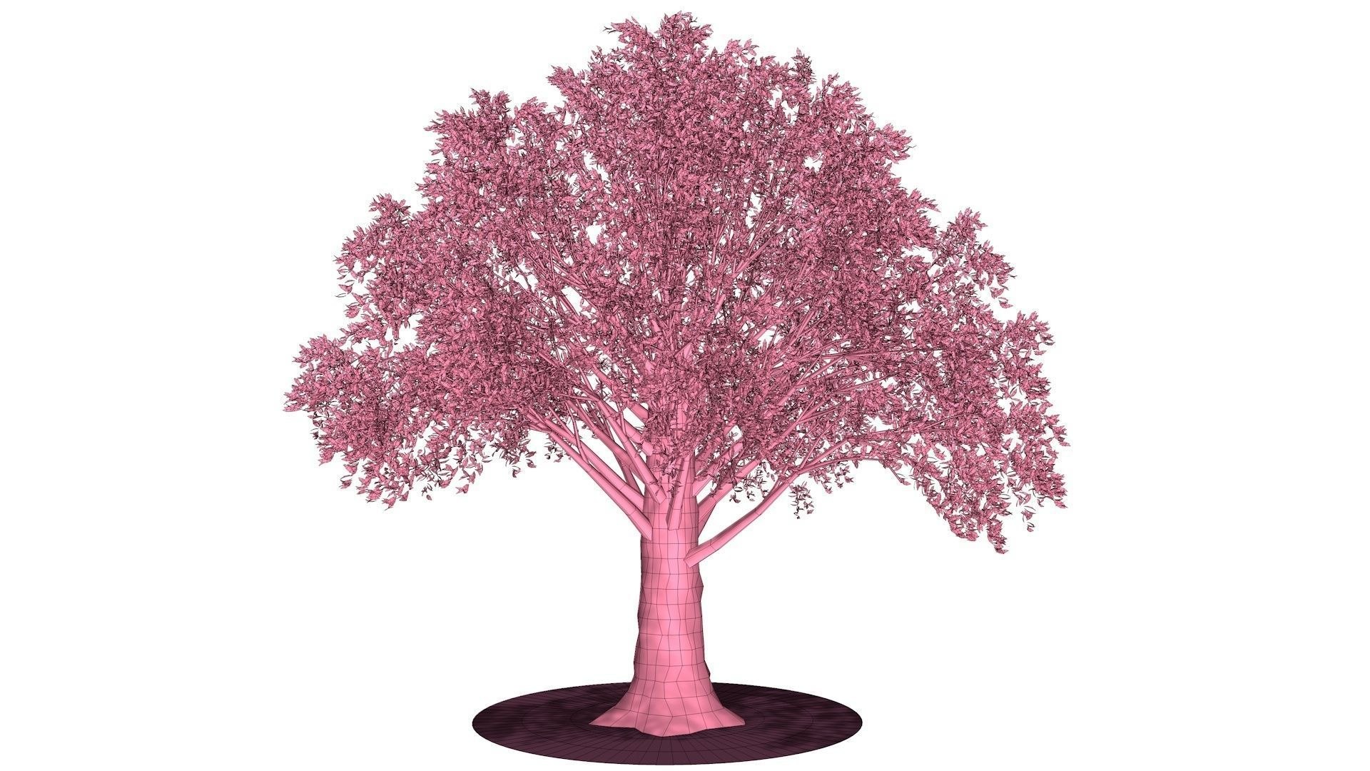 3D Pink Tree - TurboSquid 1693652