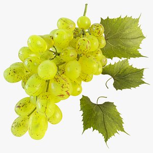 max realistic grapes