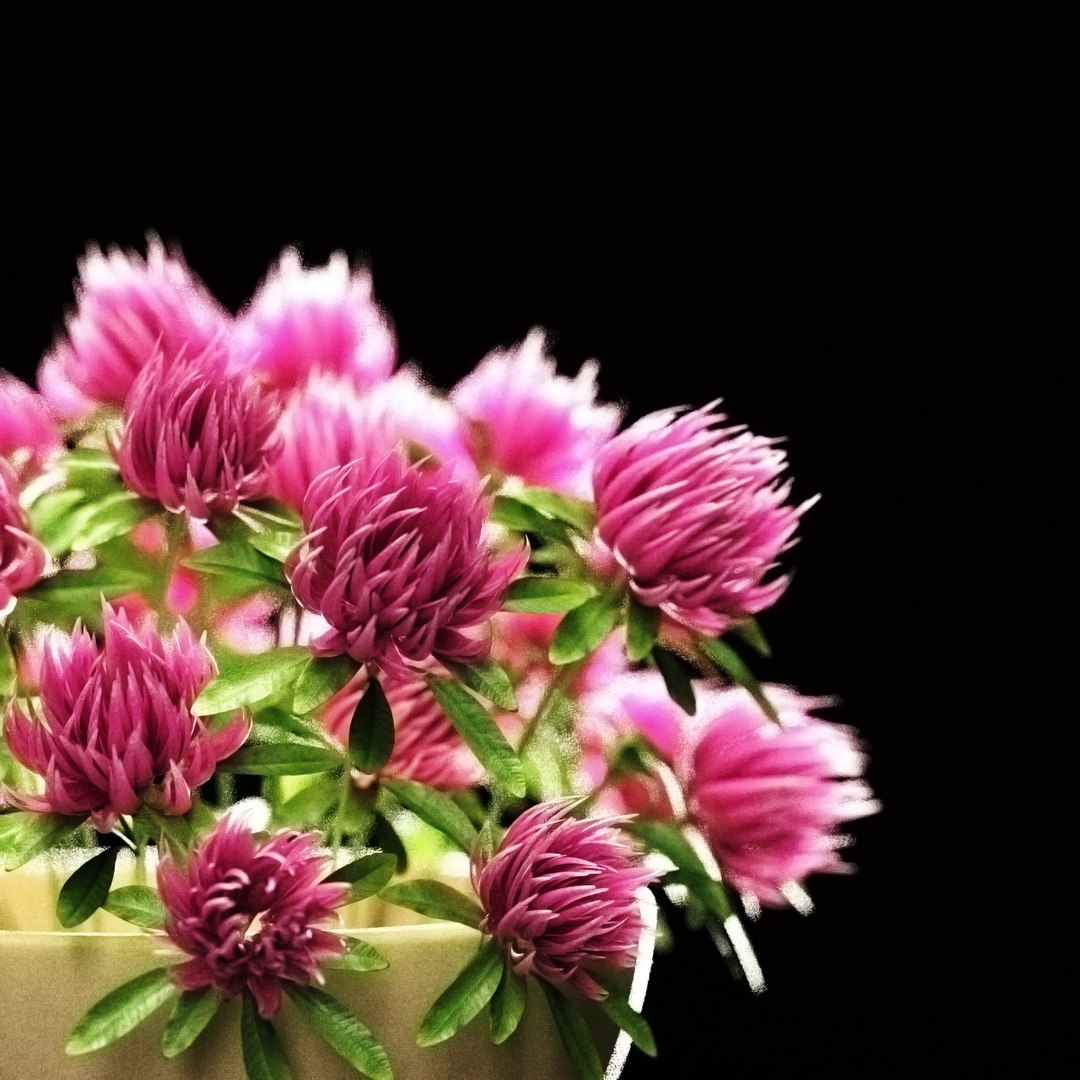 Clover Flowers Vase 3d Model