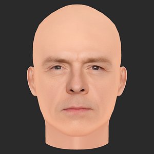 3D Low Poly Simon Pegg Head