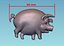 3D model Pig Relief