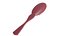hairbrush