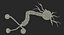 neuron nerve cell 3D model