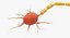 neuron nerve cell 3D model