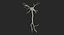 neuron nerve cell 3D model