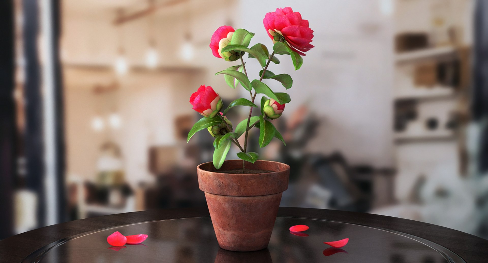 3D Rigged Gardening Lady with Plants Collection https://p.turbosquid.com/ts-thumb/RO/KluoCy/1Z/riggedgardeningladywithplantscollectionmb3dmodel062/jpg/1643101910/1920x1080/fit_q87/ad3929512d36175b541740fee0d3bb3b564ff2e9/riggedgardeningladywithplantscollectionmb3dmodel062.jpg
