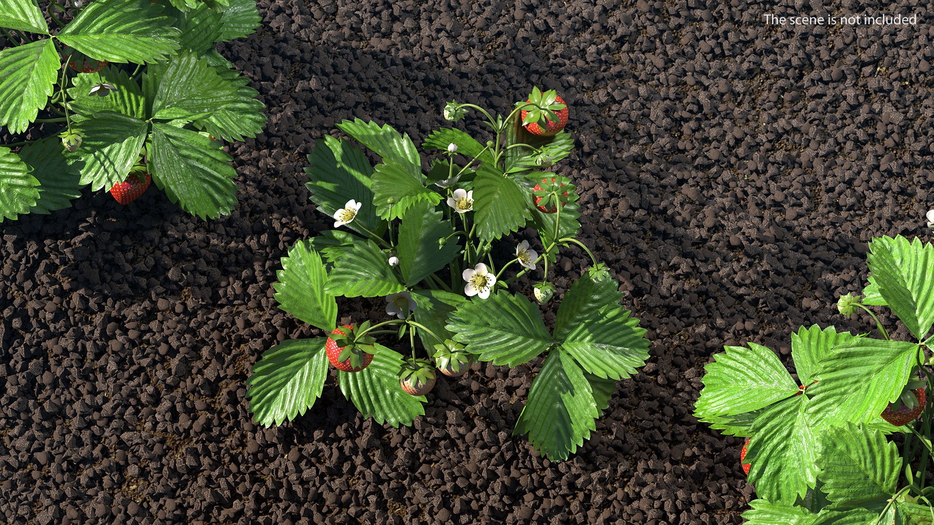 3D Rigged Gardening Lady with Plants Collection https://p.turbosquid.com/ts-thumb/RO/KluoCy/FY/riggedgardeningladywithplantscollectionmb3dmodel040/jpg/1643101799/1920x1080/fit_q87/d7851047a6cd4f80e320e1401a9a853e24e27c2c/riggedgardeningladywithplantscollectionmb3dmodel040.jpg