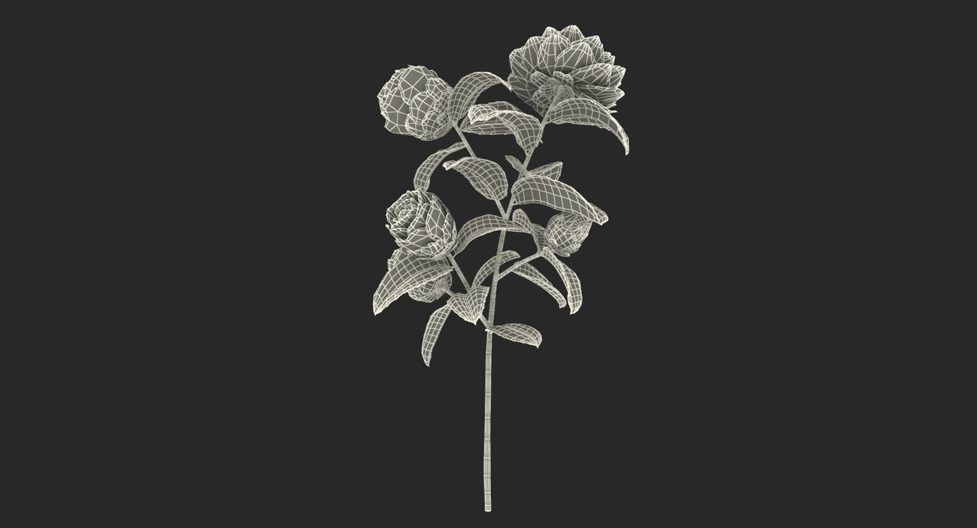3D Rigged Gardening Lady with Plants Collection https://p.turbosquid.com/ts-thumb/RO/KluoCy/JO/garden_flower_camellia_red_361/jpg/1643102304/1920x1080/turn_fit_q99/98203bb4a4703608724f3fa577e8c8dc41e574de/garden_flower_camellia_red_361-1.jpg