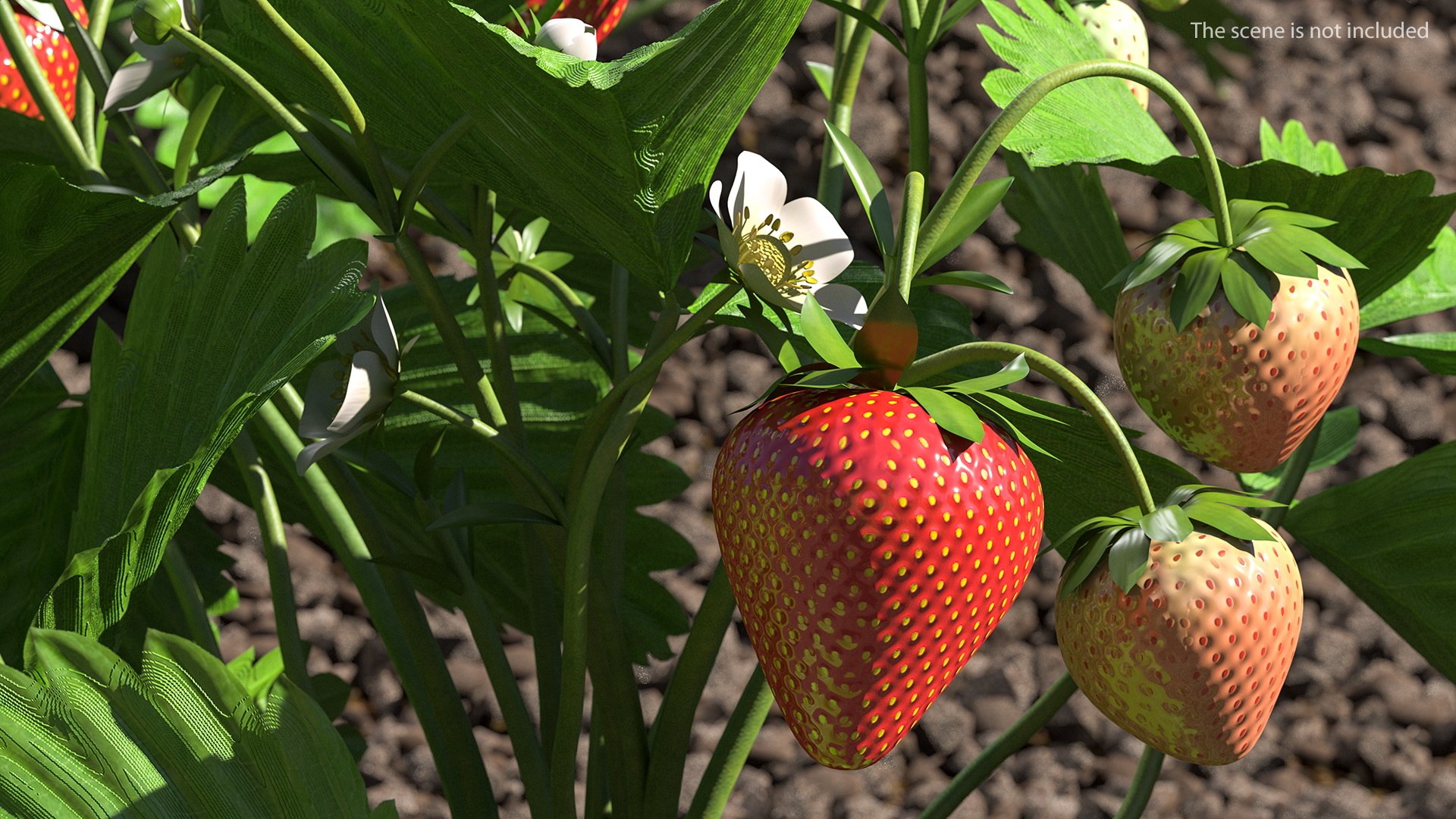 3D Rigged Gardening Lady with Plants Collection https://p.turbosquid.com/ts-thumb/RO/KluoCy/R2/riggedgardeningladywithplantscollectionmb3dmodel041/jpg/1643101803/1920x1080/fit_q87/7cfbfc3c198864c8d3ab40a7162496c40b2c5afb/riggedgardeningladywithplantscollectionmb3dmodel041.jpg
