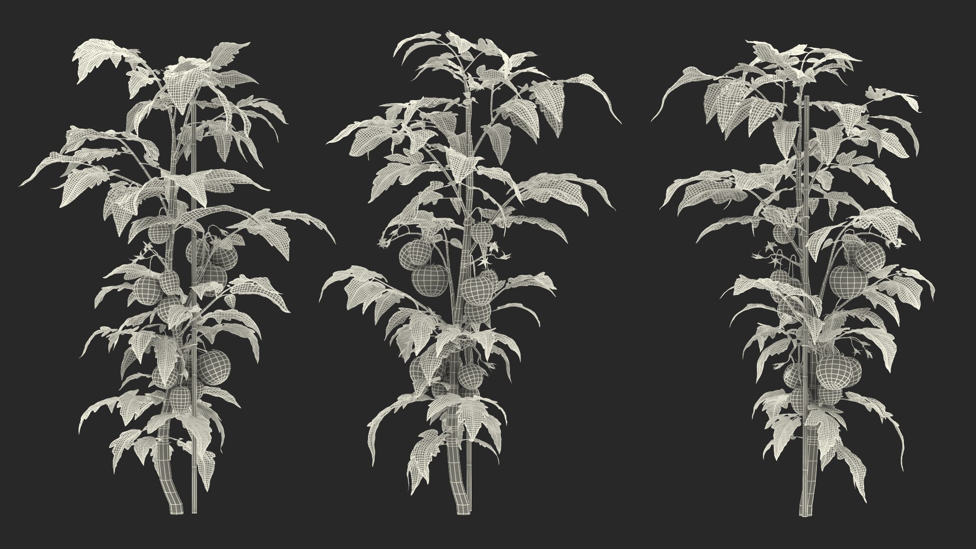 3D Rigged Gardening Lady with Plants Collection https://p.turbosquid.com/ts-thumb/RO/KluoCy/jF/riggedgardeningladywithplantscollectionmb3dmodel086/jpg/1643102030/1920x1080/fit_q87/8dc0f50d8e0a79ca59f4fed090abcf4e0658ee6c/riggedgardeningladywithplantscollectionmb3dmodel086.jpg