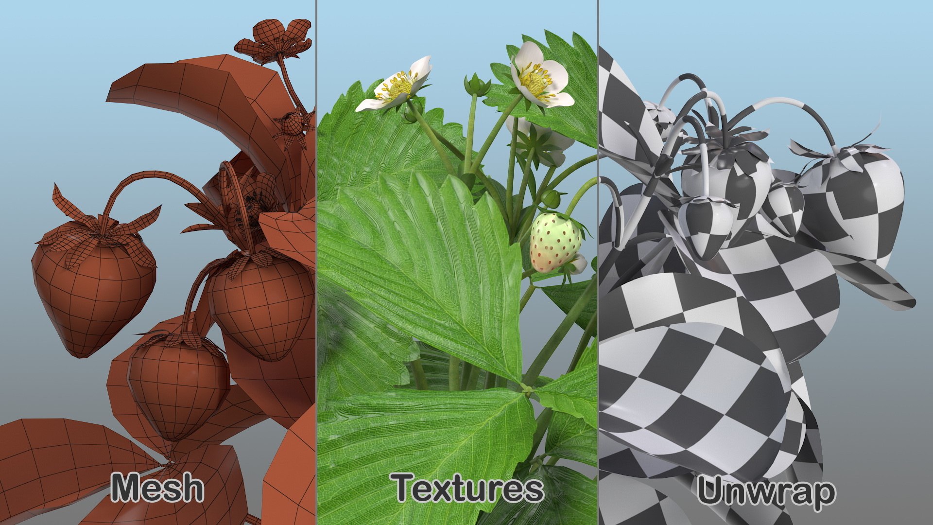 3D Rigged Gardening Lady with Plants Collection https://p.turbosquid.com/ts-thumb/RO/KluoCy/td/riggedgardeningladywithplantscollectionmb3dmodel043/jpg/1643101828/1920x1080/fit_q87/ad03dbbc868456311ab72db7ddc85082b05c7e37/riggedgardeningladywithplantscollectionmb3dmodel043.jpg
