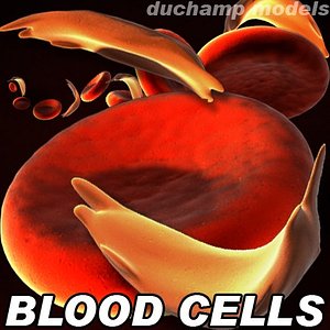 classical blood cell version 3d model