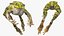 Frog Jumping Pose