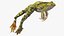 Frog Jumping Pose