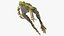 Frog Jumping Pose