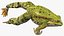 Frog Jumping Pose