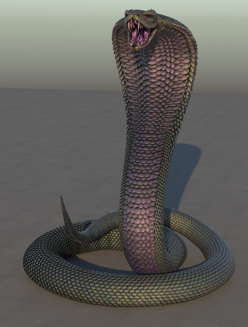 Snake 3D model - TurboSquid 1673842