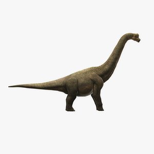 dinosaur nature animal 3D model