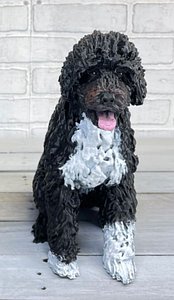 The black and white Portuguese water dog 3D print model 3D