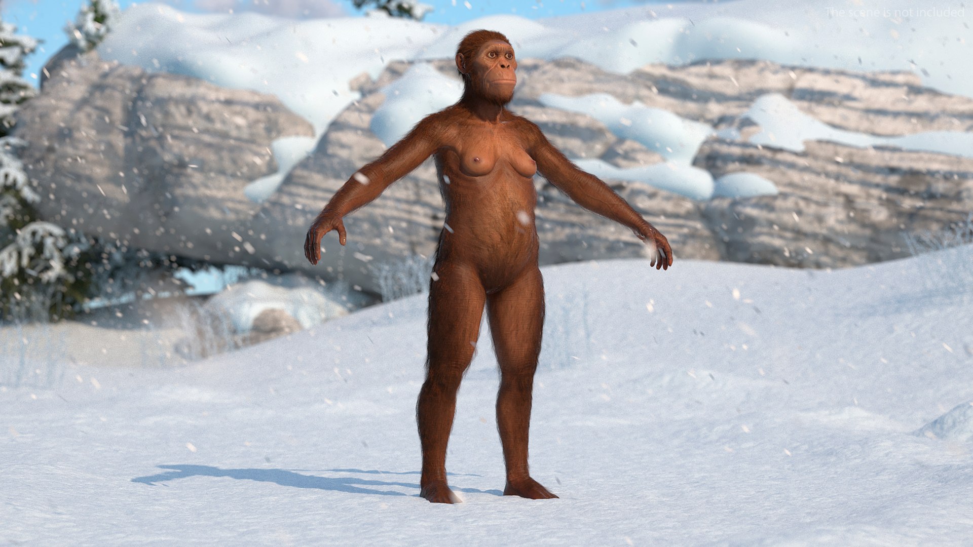 Life-Size Model Of Prehistoric Hominin Female Fur 3D Model - TurboSquid ...