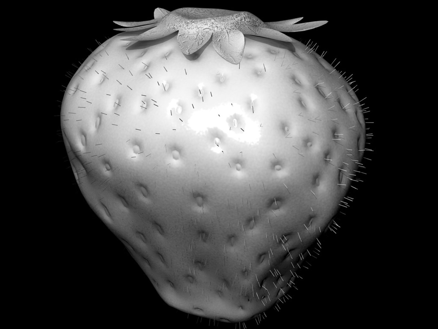 Strawberry Berry 3d Model