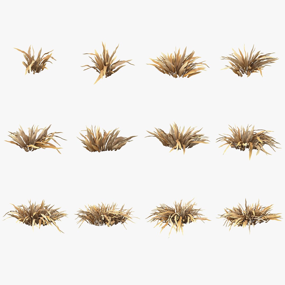 Cartoon Dry Grass Collection 3D model TurboSquid 2047824