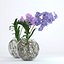 Double vanda