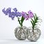Double vanda