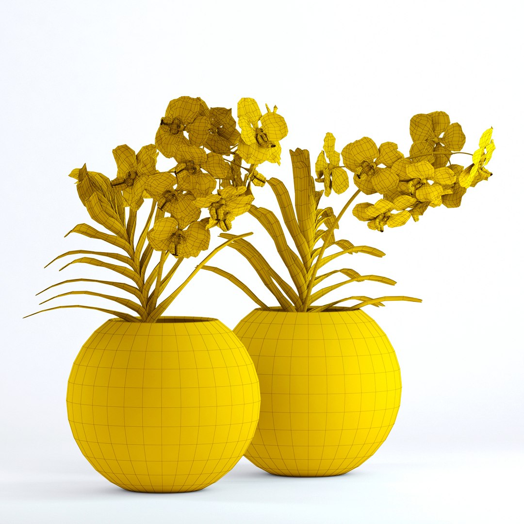 realistic vanda flowers 3D https://p.turbosquid.com/ts-thumb/RP/25beEp/lsPFnJHg/g2/jpg/1509699054/1920x1080/fit_q87/754252e1d018a427f20a930de4c08d8cff908f4c/g2.jpg