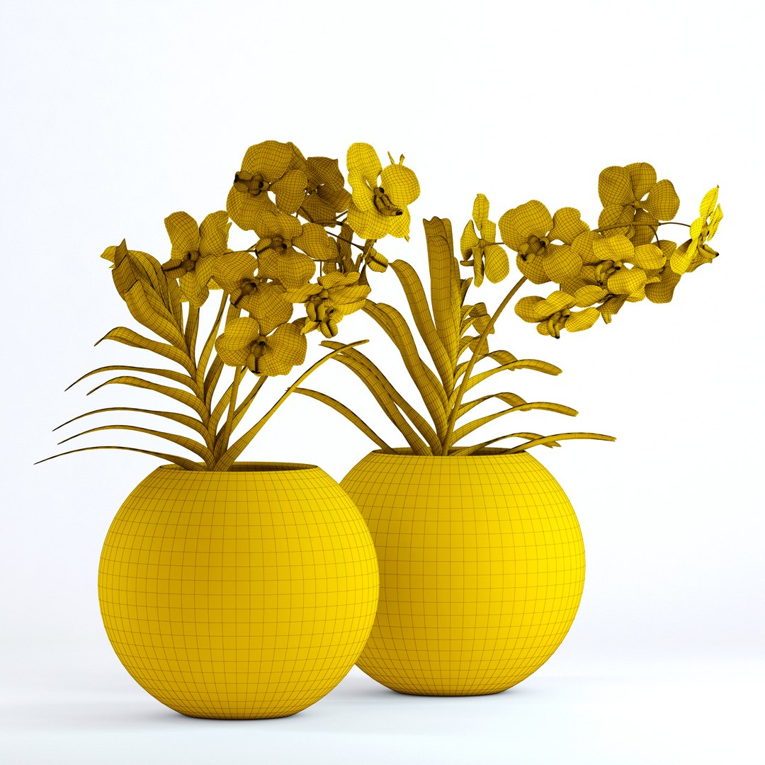 realistic vanda flowers 3D https://p.turbosquid.com/ts-thumb/RP/25beEp/zgVblE9A/g1/jpg/1509700712/1920x1080/fit_q87/0412f7924cd8bcad5648e37a89ac1ef6a6198cc7/g1.jpg