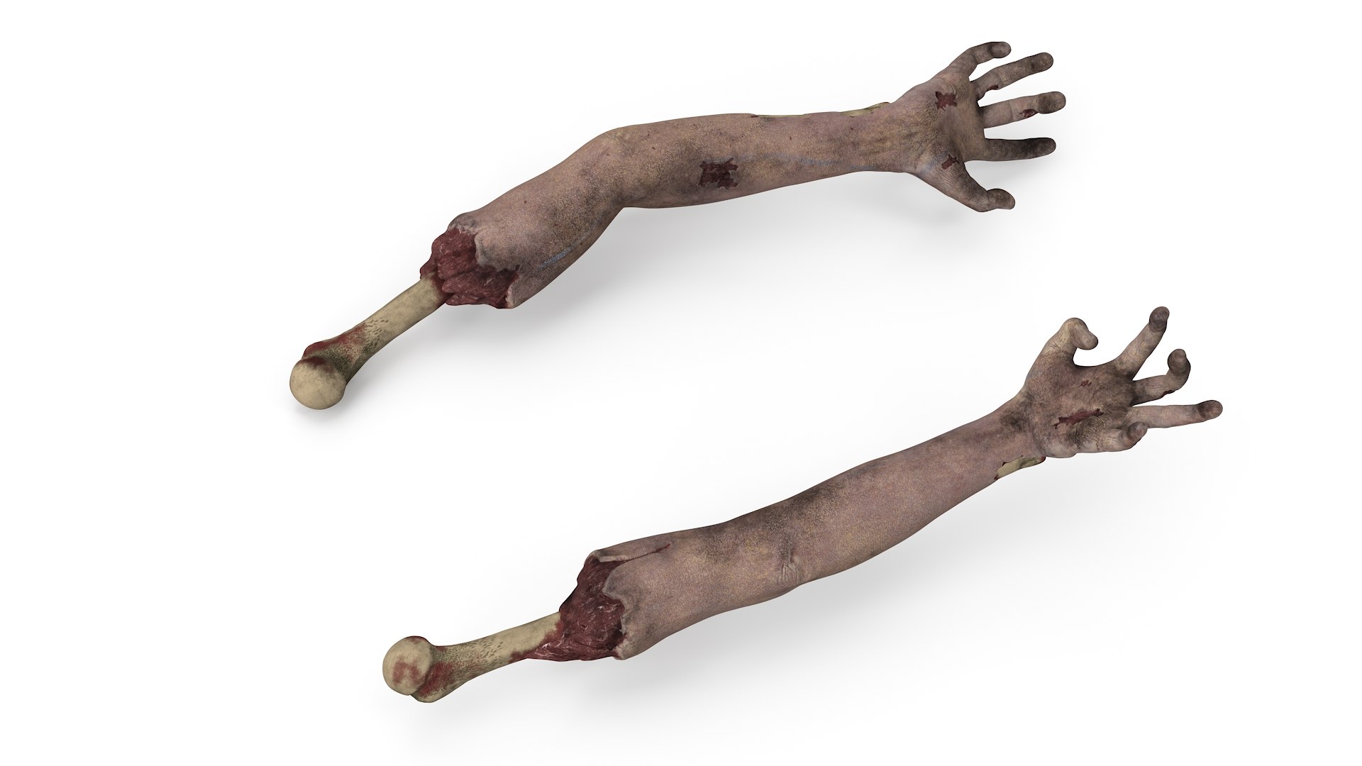 3D Creepy Cemetery Scene https://p.turbosquid.com/ts-thumb/RP/2mnl1F/Pu/creepy_cemetery_scene_014/jpg/1741776480/1920x1080/fit_q87/2d1aa6737cf43dd33a75b80fb938b236b565f756/creepy_cemetery_scene_014.jpg