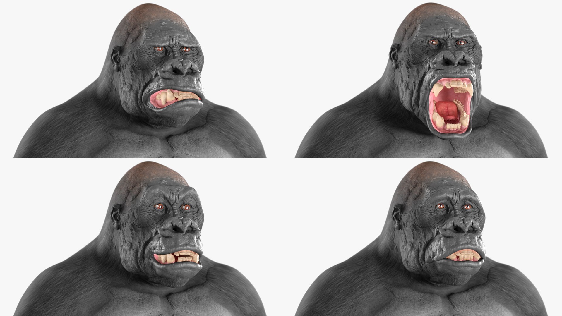 3D Western Gorilla Rigged model https://p.turbosquid.com/ts-thumb/RP/58qBy4/SE/westerngorillariggedvray3dmodel029/jpg/1709196997/1920x1080/fit_q87/52683dd4154f5b0e97cd2c810b8106ca73f6b39c/westerngorillariggedvray3dmodel029.jpg