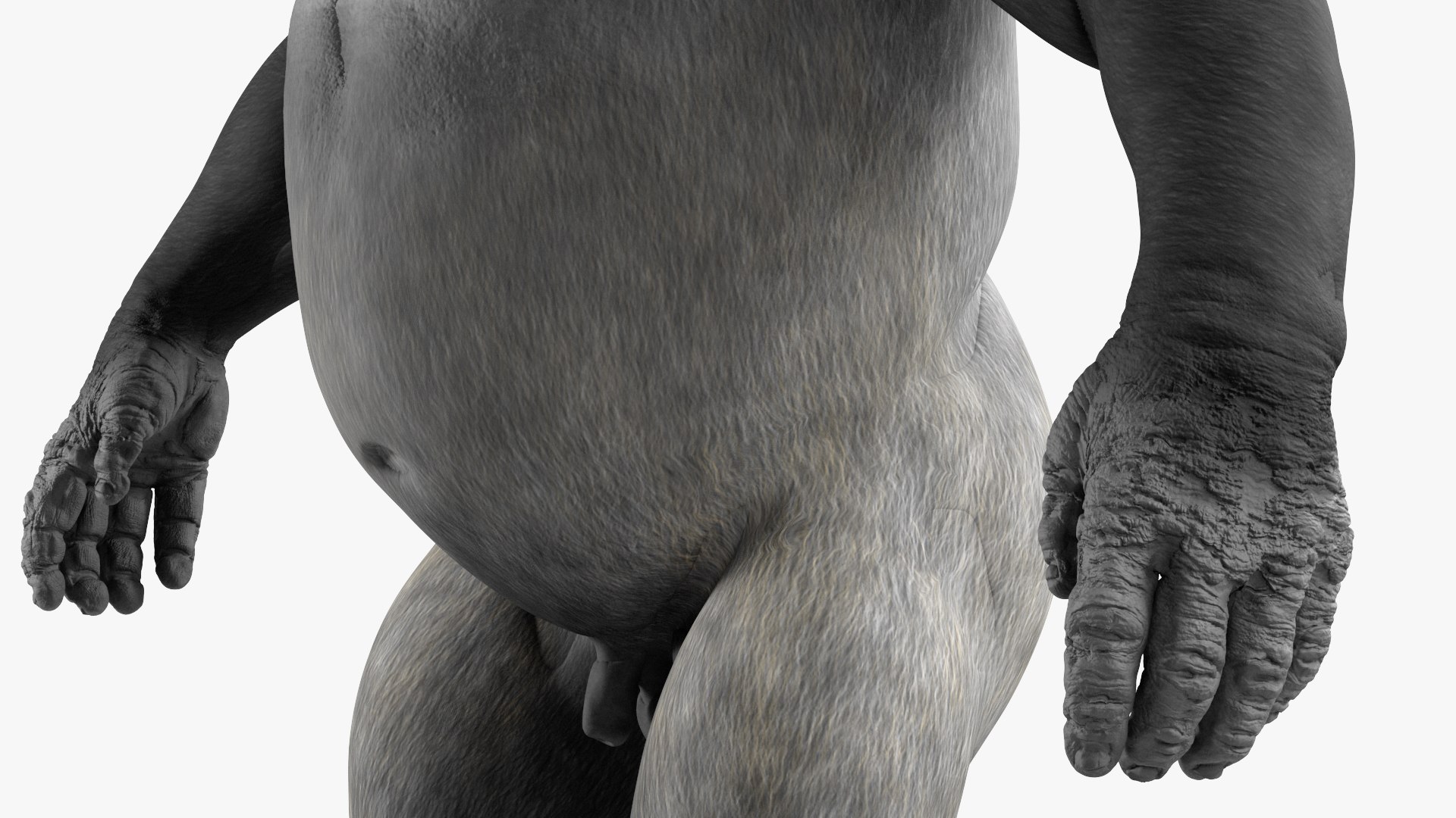 3D Western Gorilla Rigged model https://p.turbosquid.com/ts-thumb/RP/58qBy4/dI/westerngorillariggedvray3dmodel025/jpg/1709196977/1920x1080/fit_q87/de8166ca2e492c8363f1f9b6eac12773e46a0547/westerngorillariggedvray3dmodel025.jpg