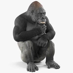 3D Western Gorilla Rigged model