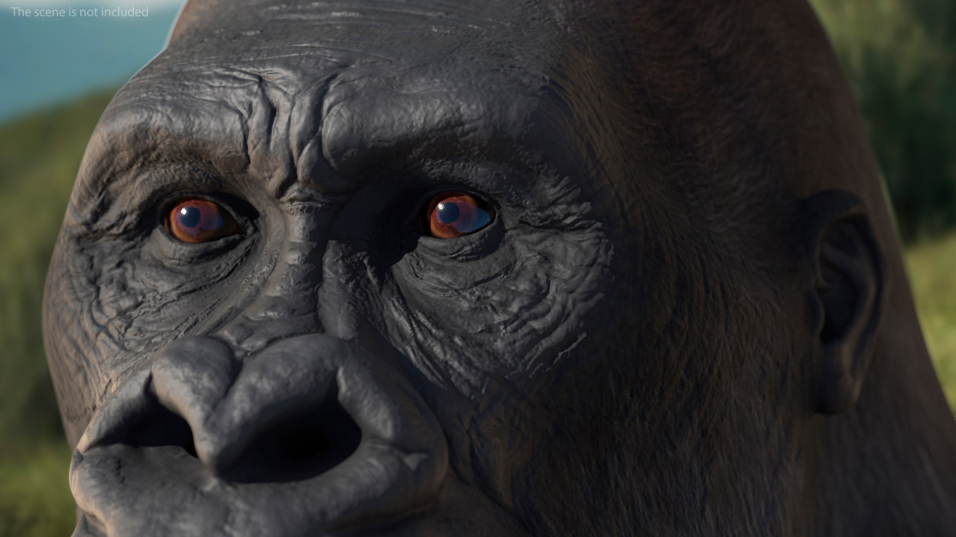3D Western Gorilla Rigged model https://p.turbosquid.com/ts-thumb/RP/58qBy4/jT/westerngorillariggedvray3dmodel008/jpg/1709196885/1920x1080/fit_q87/9aade652ee2900911d919fed795af034facabca1/westerngorillariggedvray3dmodel008.jpg