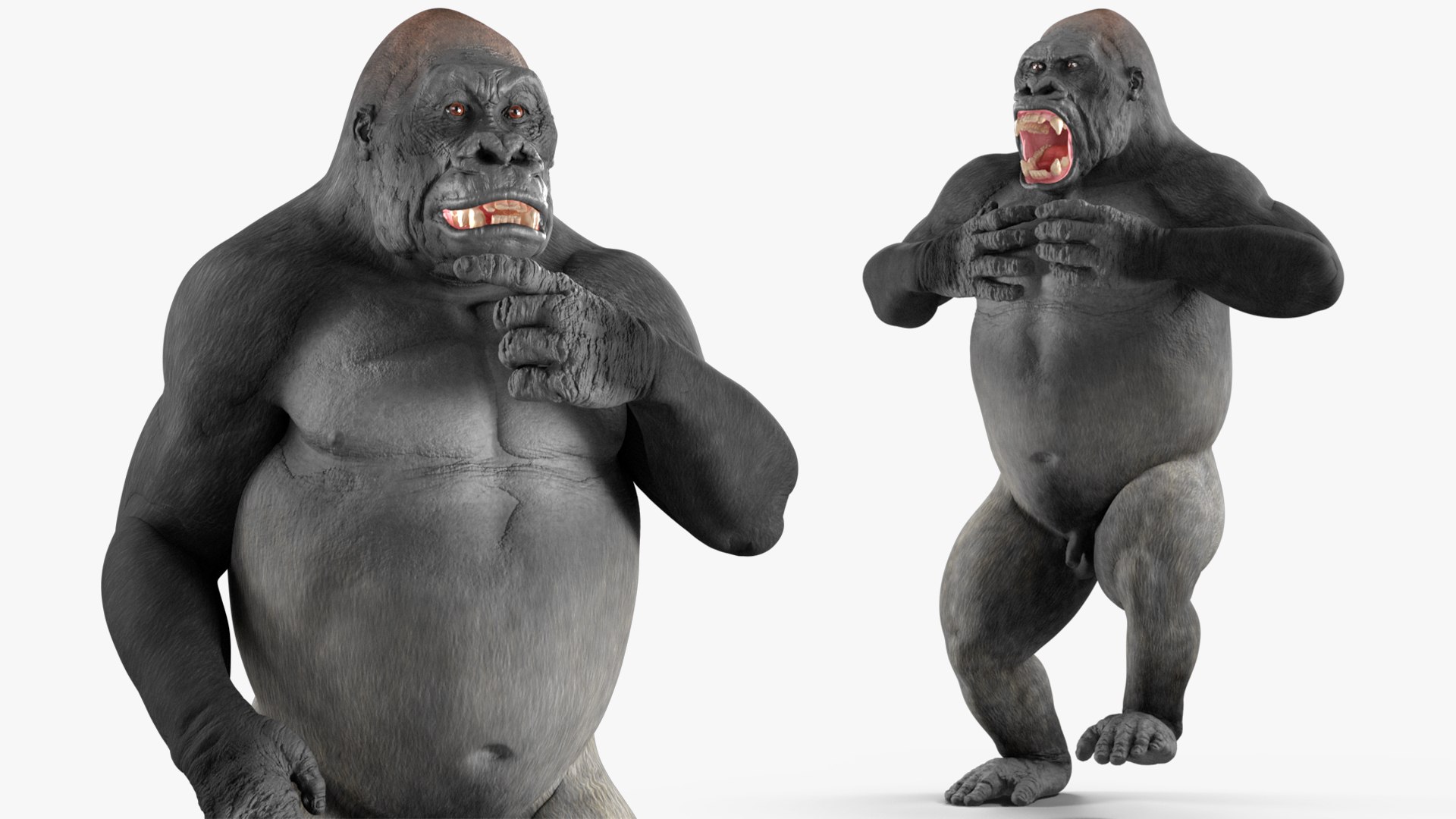 3D Western Gorilla Rigged model https://p.turbosquid.com/ts-thumb/RP/58qBy4/k5/westerngorillariggedvray3dmodel020/jpg/1709196948/1920x1080/fit_q87/f15a1b651f39bc086ba5a464c8ec99fa710ab820/westerngorillariggedvray3dmodel020.jpg