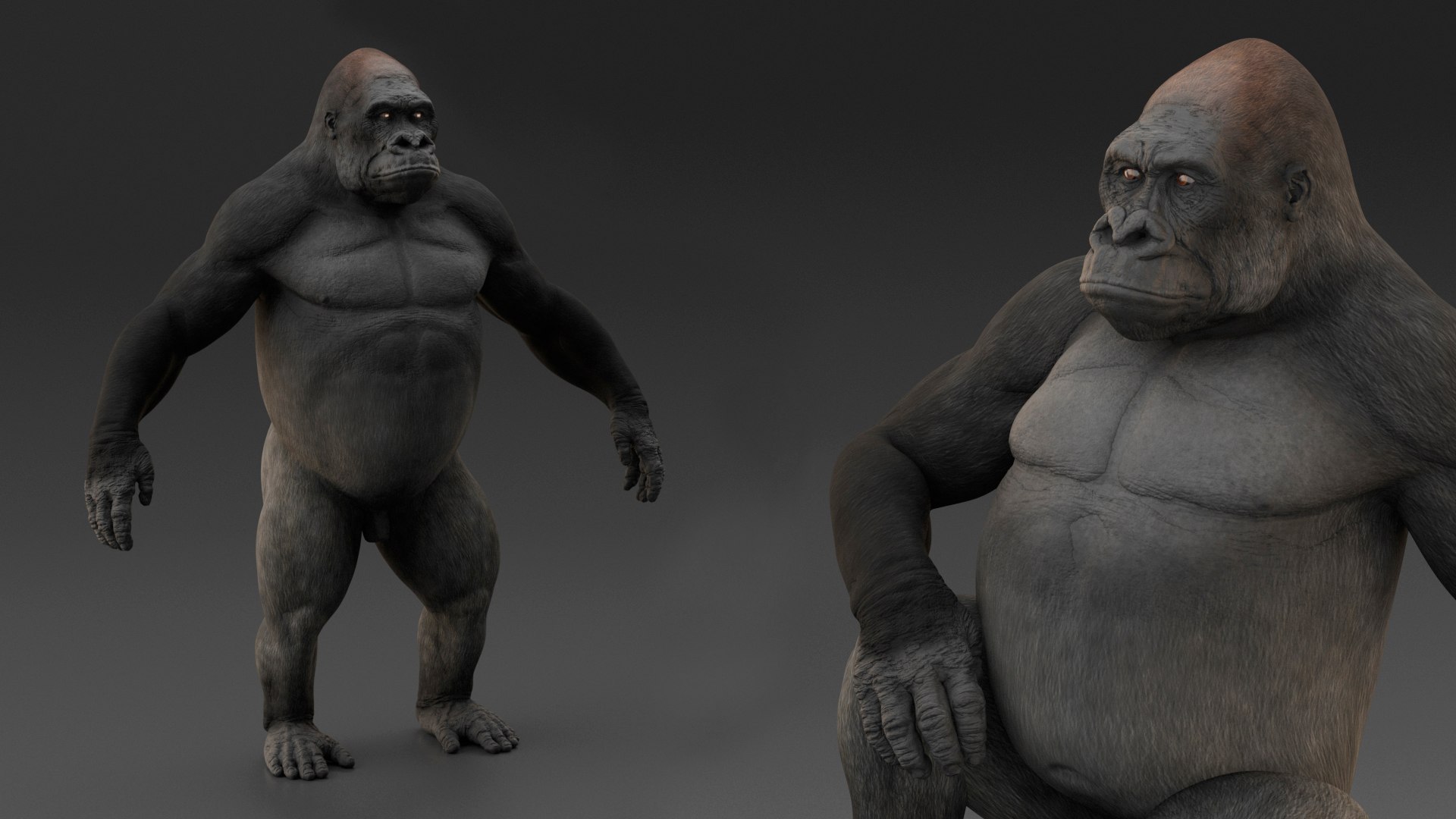 3D Western Gorilla Rigged model https://p.turbosquid.com/ts-thumb/RP/58qBy4/zz/westerngorillariggedvray3dmodel014/jpg/1709196920/1920x1080/fit_q87/4f13a4919ee9f942e8291164bd2c67456a8c5c5f/westerngorillariggedvray3dmodel014.jpg