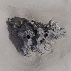 Rock 3D Scan 04