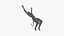 Avatar Backflip Animation Rigged