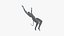 Avatar Backflip Animation Rigged