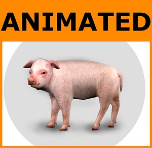 3d x ready pig animations