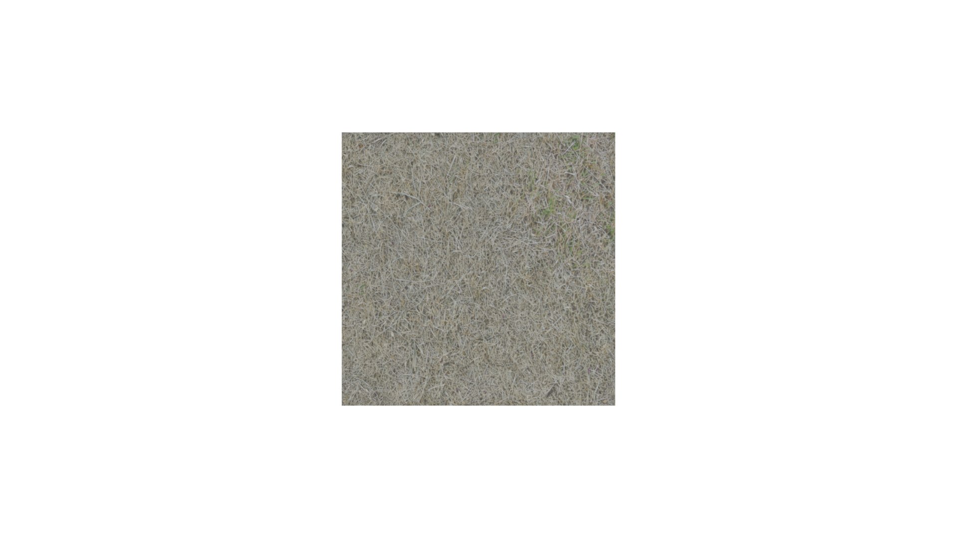 3D Dry Grass https://p.turbosquid.com/ts-thumb/RP/L3rn7o/3o/2/png/1643077077/1920x1080/fit_q87/dd9f9d1188a9d51455f172d56e3d1aa4e22bf009/2.jpg