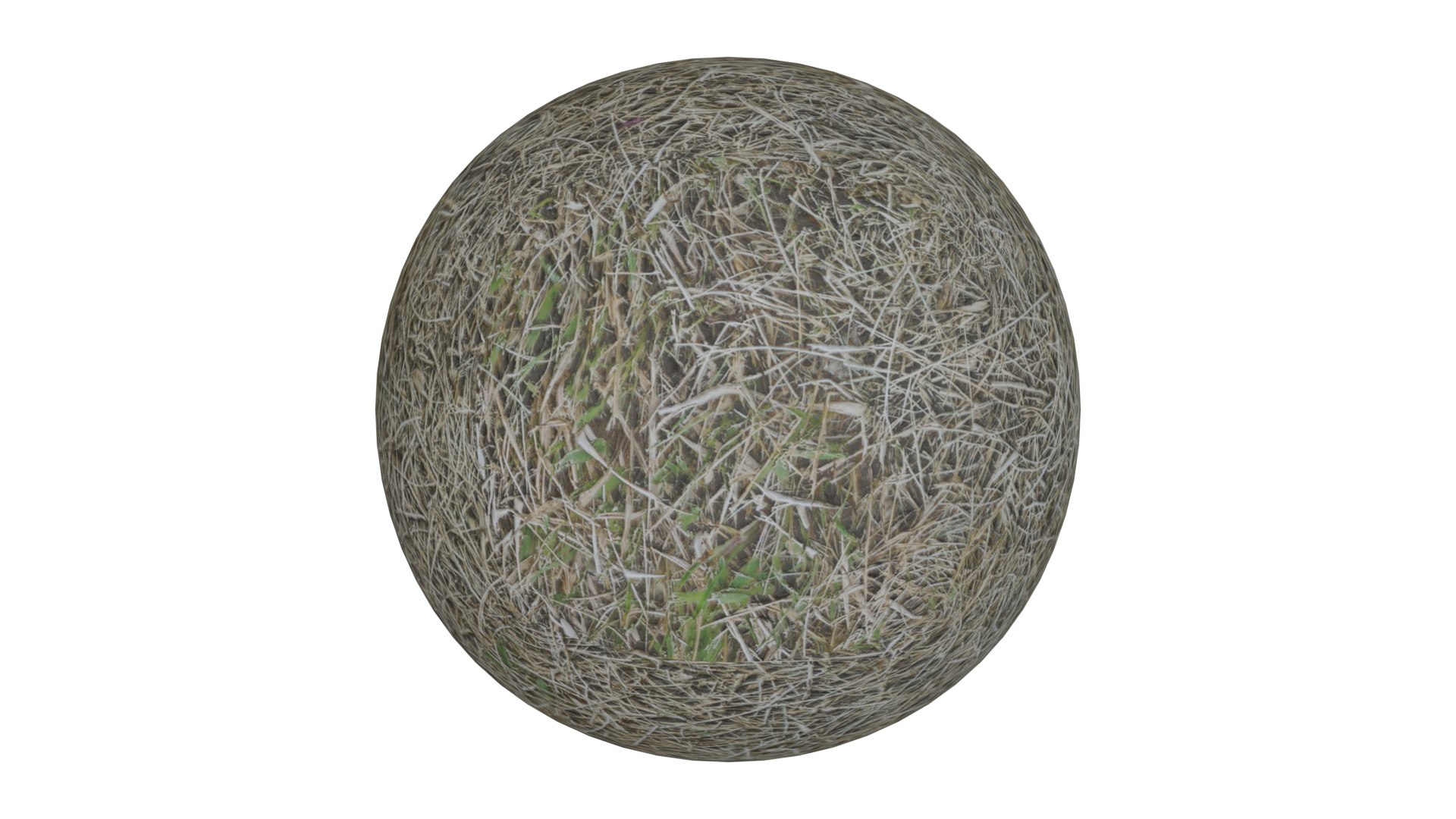 3D Dry Grass https://p.turbosquid.com/ts-thumb/RP/L3rn7o/5p/1/png/1643077078/1920x1080/fit_q87/cd42d67573c17078b3f872c910b95e35613e78a1/1.jpg