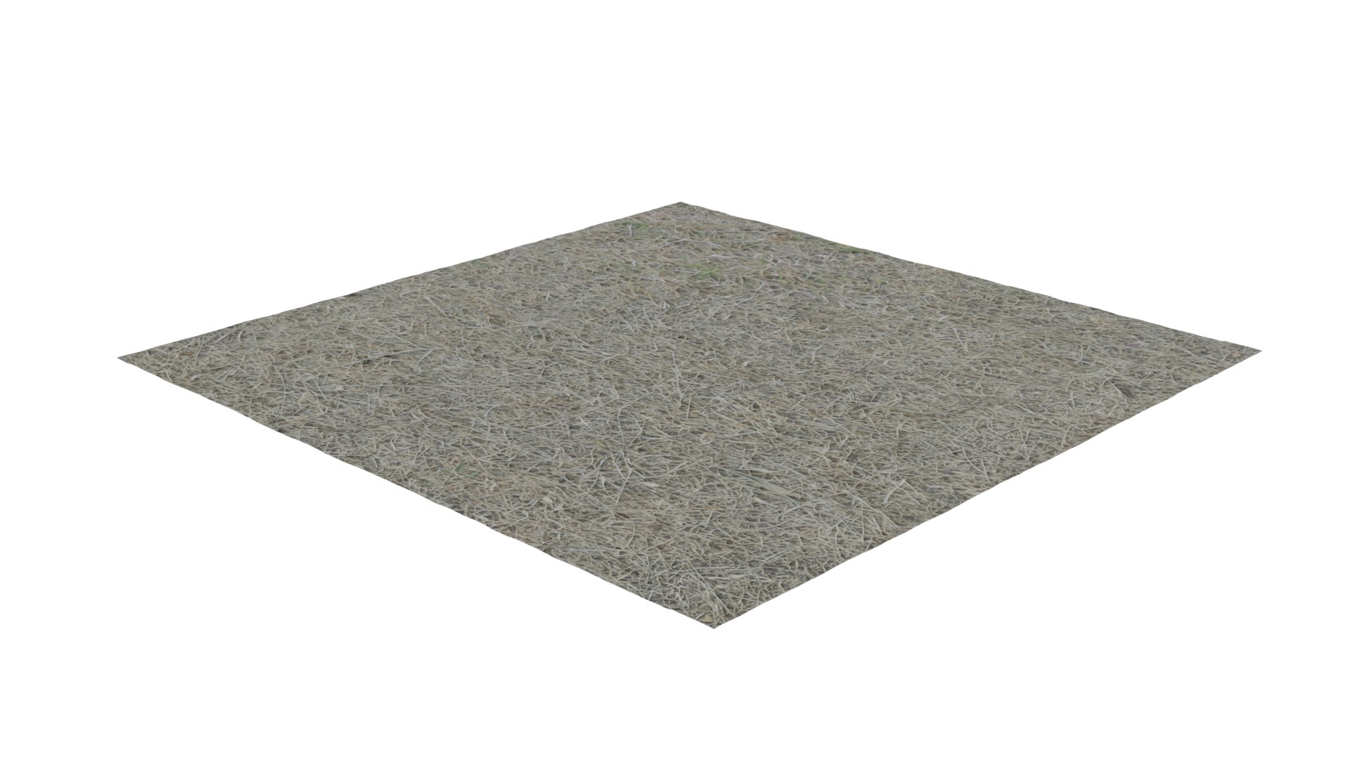3D Dry Grass https://p.turbosquid.com/ts-thumb/RP/L3rn7o/uP/3/png/1643077077/1920x1080/fit_q87/cd328861aa59f5fbe8d277faf16ab9fdf4b9ece4/3.jpg