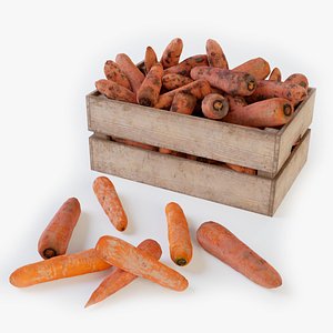 3D Carrots in the box model