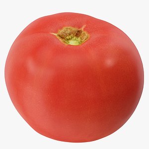 tomato 03 hi polys 3D model
