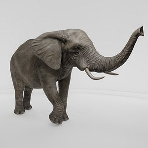 3D Realistic Elephant