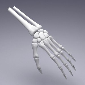 Hand