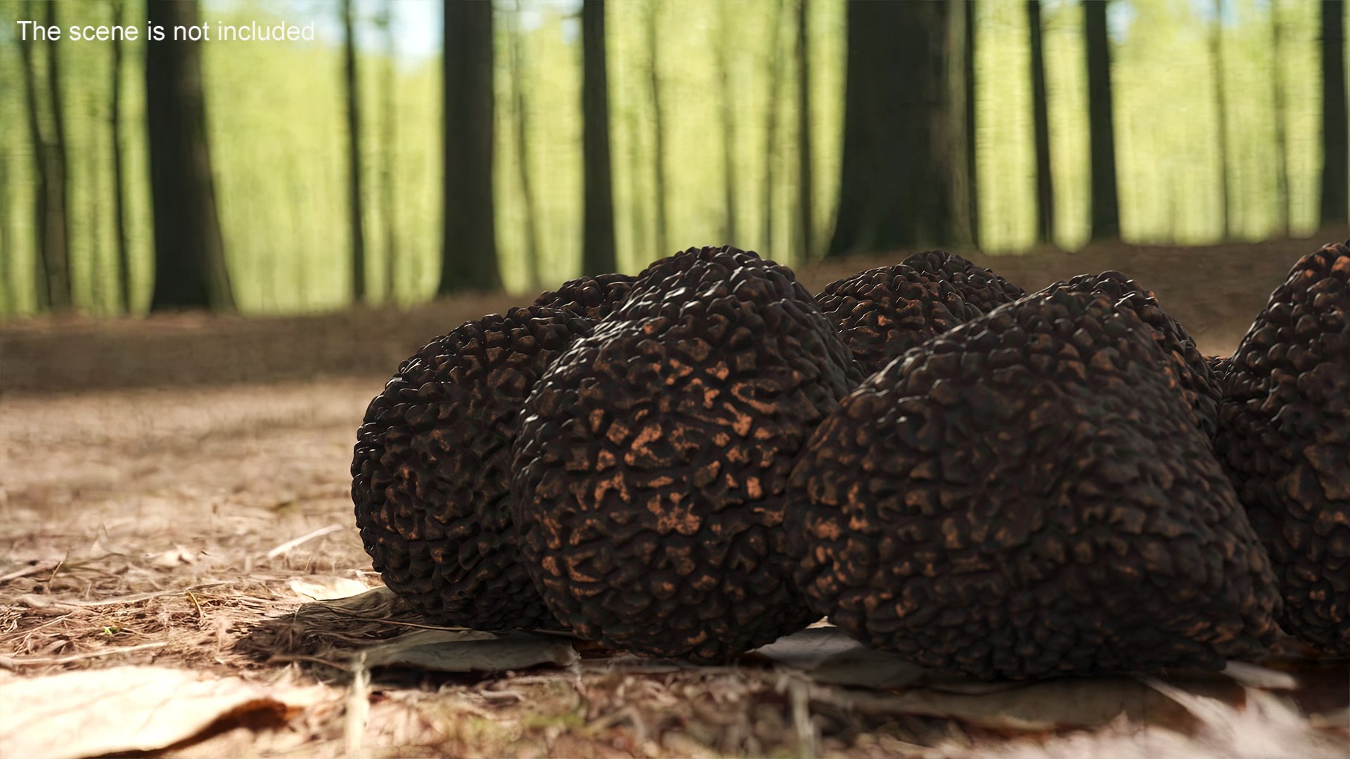 3D Black Truffle - TurboSquid 2217221